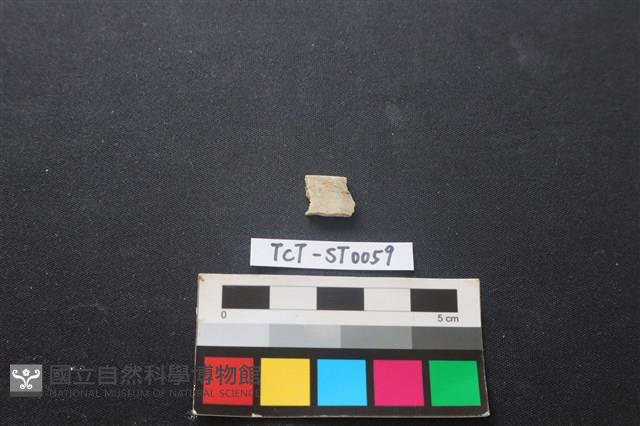 玉環藏品圖，第1張