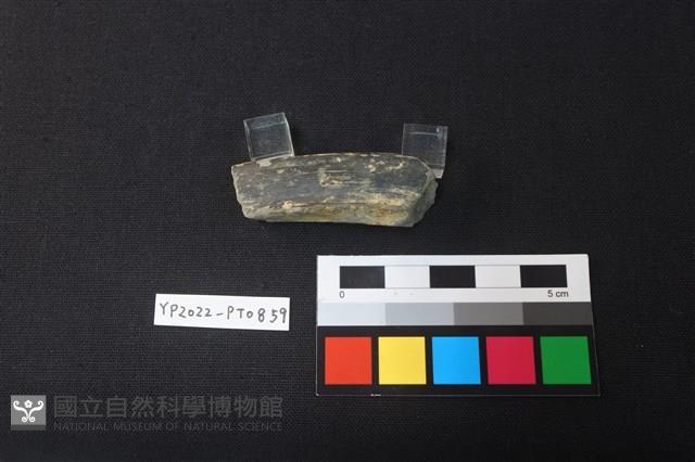 陶片藏品圖，第1張