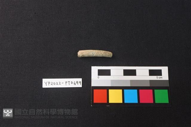 陶環藏品圖，第1張