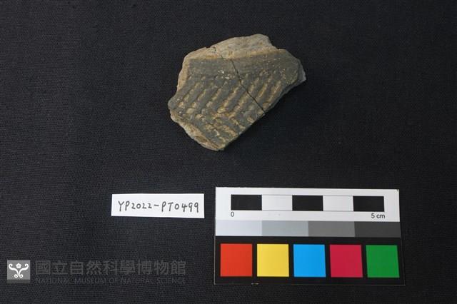 陶片藏品圖，第1張
