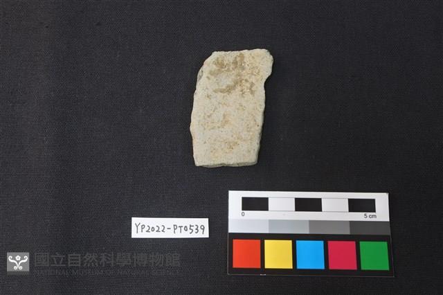 陶片藏品圖，第1張