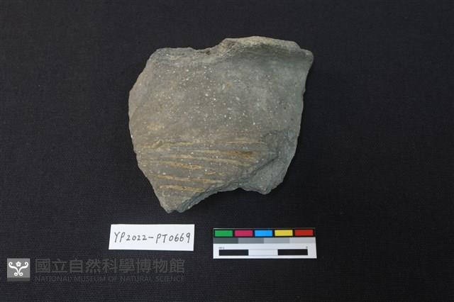 陶片藏品圖，第1張