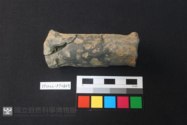 獸形陶足藏品圖，第1張