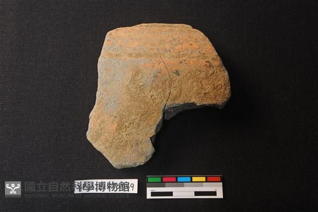 陶片藏品圖，第1張