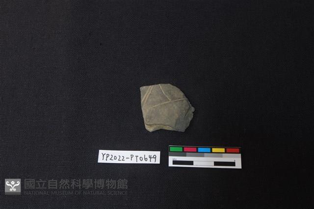 陶片藏品圖，第1張