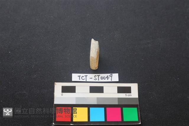 錛鑿形器藏品圖，第1張