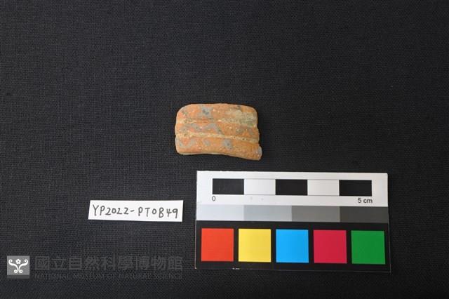 陶環藏品圖，第1張