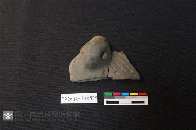 陶片藏品圖，第1張