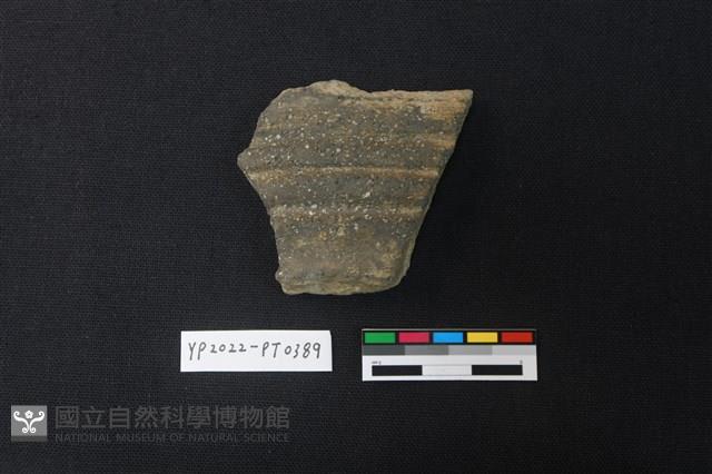 陶片藏品圖，第1張
