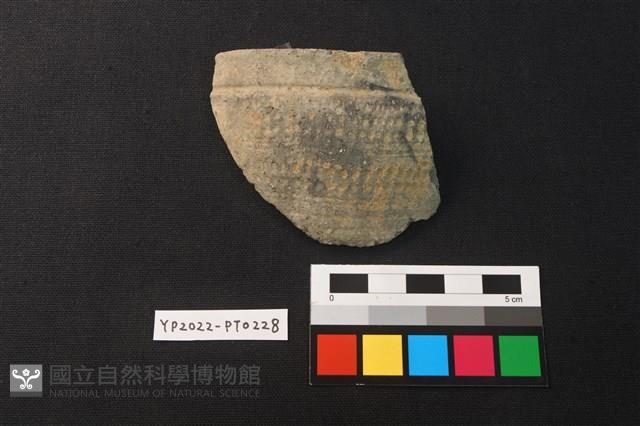 陶片藏品圖，第1張