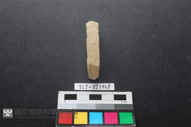 錛鑿形器藏品圖，第1張
