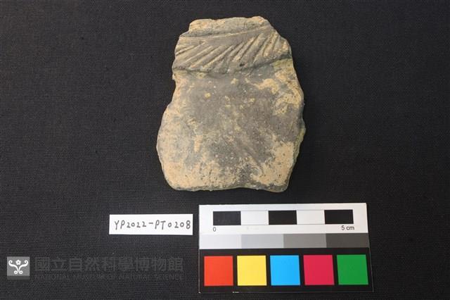 陶片藏品圖，第1張