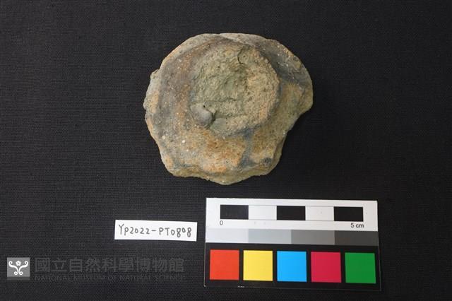 陶蓋藏品圖，第1張