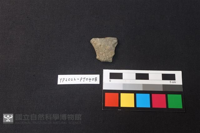 陶片藏品圖，第1張