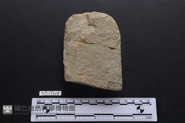 斧鋤形器藏品圖，第1張