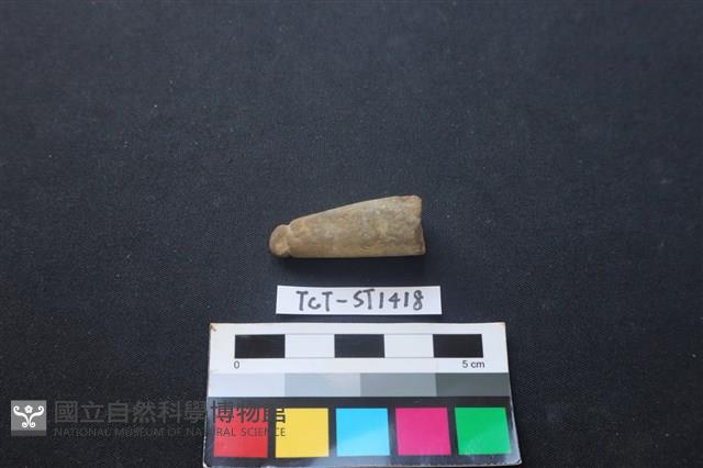 網墜藏品圖，第1張
