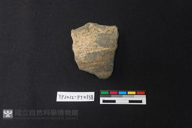 陶片藏品圖，第1張