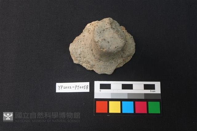 覆碗型陶蓋藏品圖，第1張