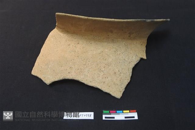 陶片藏品圖，第1張