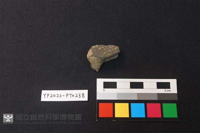 陶片藏品圖，第1張