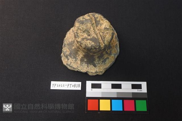 蓋鈕藏品圖，第1張