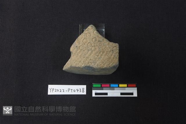 陶片藏品圖，第1張