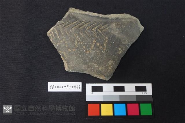 陶片藏品圖，第1張