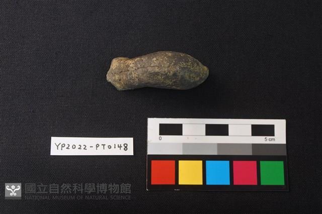 陶把藏品圖，第1張