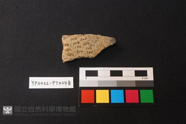 陶片藏品圖，第1張