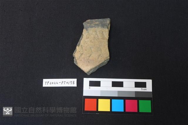 陶片藏品圖，第1張
