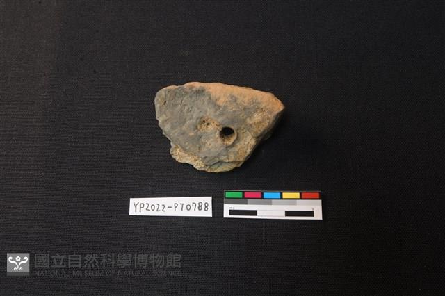 陶片藏品圖，第1張