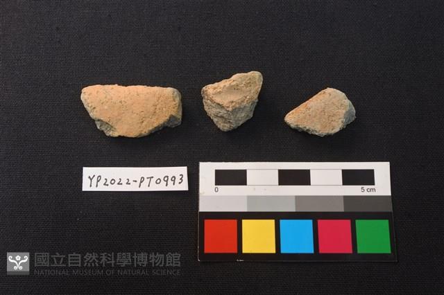 陶片藏品圖，第1張