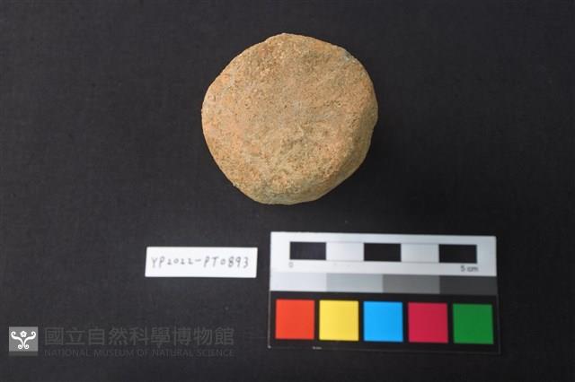 陶鈕藏品圖，第1張