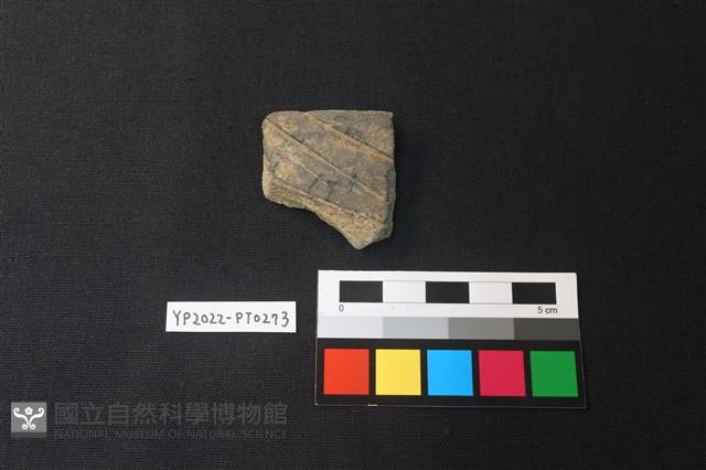 陶片藏品圖，第1張