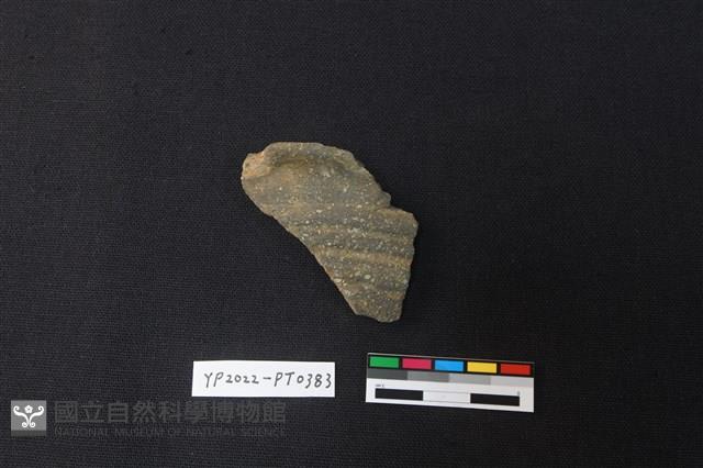 陶片藏品圖，第1張