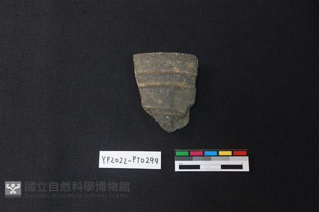 陶片藏品圖，第1張