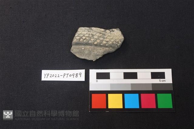 陶片藏品圖，第1張