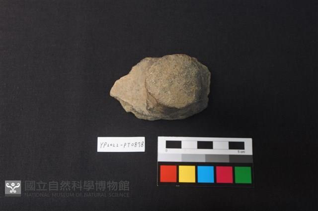 陶蓋鈕藏品圖，第1張