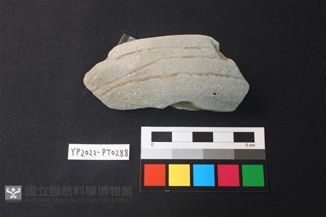 陶片藏品圖，第1張