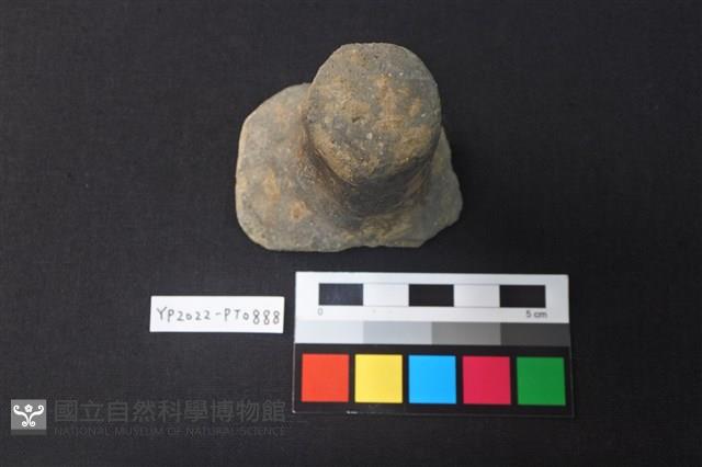 陶蓋鈕藏品圖，第1張