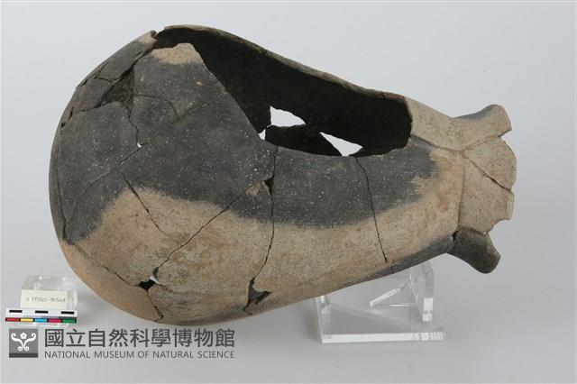 陶罐藏品圖，第4張