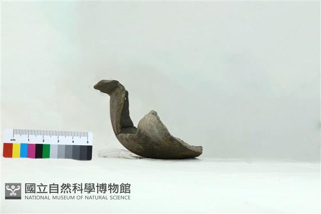 陶罐藏品圖，第4張