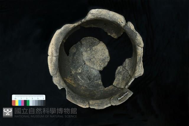 陶罐藏品圖，第4張