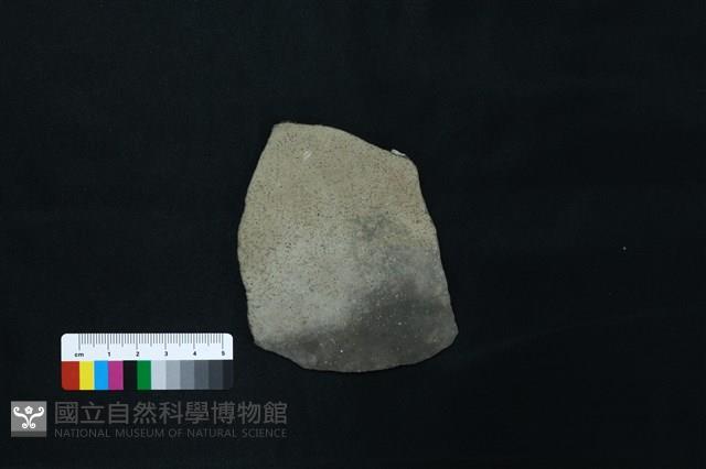 陶罐藏品圖，第8張