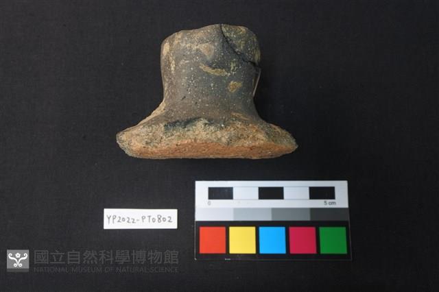 蓋鈕藏品圖，第3張
