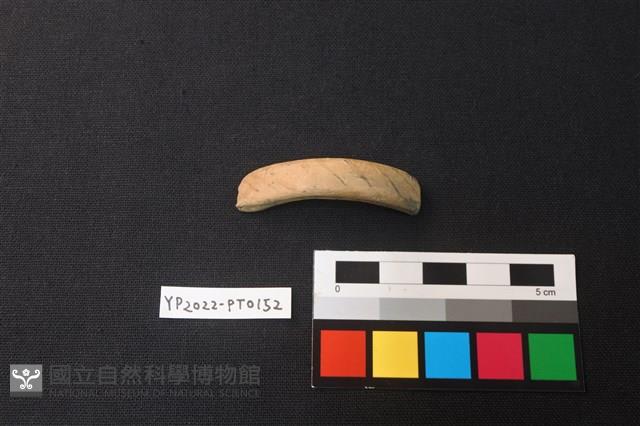 陶環藏品圖，第3張