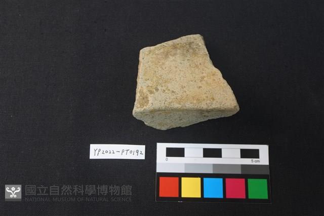 陶片藏品圖，第3張