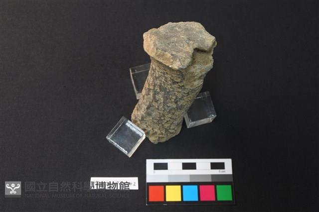陶足藏品圖，第3張