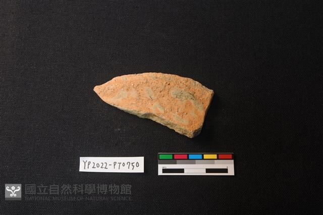 陶片藏品圖，第3張
