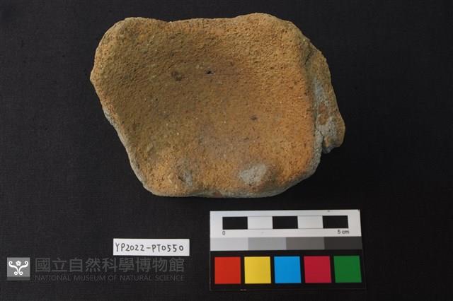 陶片藏品圖，第3張